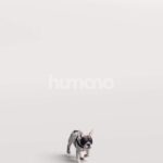 Posed 2605-005 Man