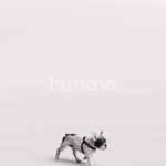 Posed 2605-005 Man